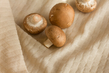 Raw mushrooms champignons on a light beige fabric, cooking fresh champignons