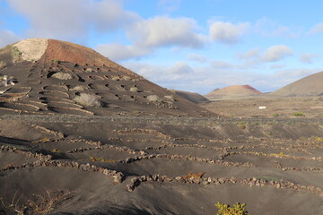 Vallée de la Geria Lanzarote Îles Canaries Espagne