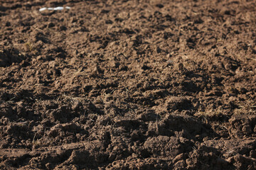 Plowed land. Plowed field background.