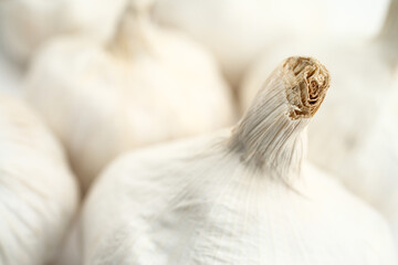 Garlic bulbs