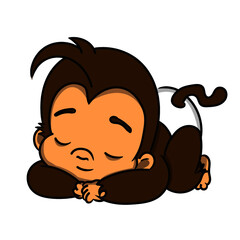 Baby Monkey