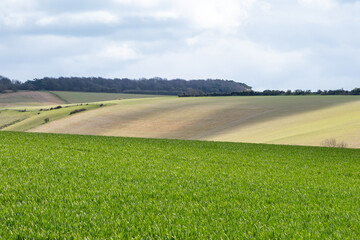 Obraz premium A Rural South Downs Landscape