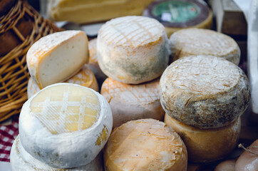 traditional pecorino cheese and toma cheese on a market stall in Piedmont, Italy