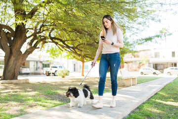 Naklejka na ściany i meble Dog owner holding a smartphone and walking her pet