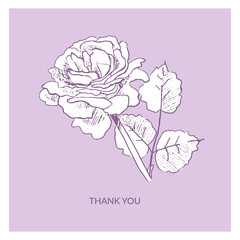 Hand drawn "Thank you" post card with garden roses on the violet background. Floral greeting card template. Vector sketch style botanical illustration.