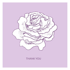 Hand drawn "Thank you" post card with garden roses on the violet background. Floral greeting card template. Vector sketch style botanical illustration.