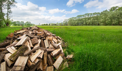 stack of firewood
