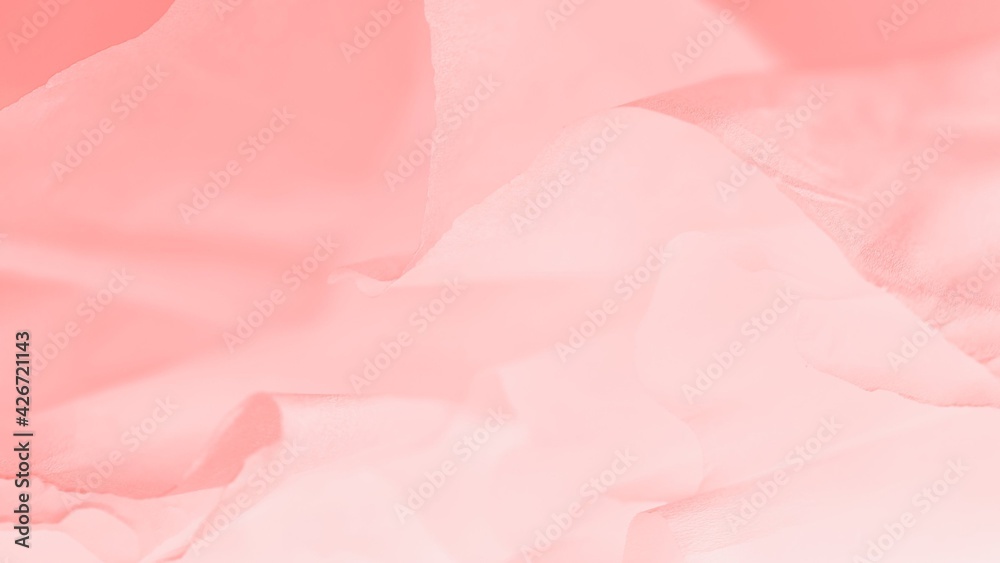 Wall mural Wavy pink fabric, light abstract blurred panorama background