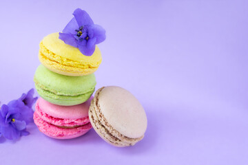 Colorful macarons with flowers one on top of each other on purple background.Stack of delicious colorful french macaroons of different flavors