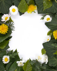 Blank postcard with a natural frame of leaves and flowers.