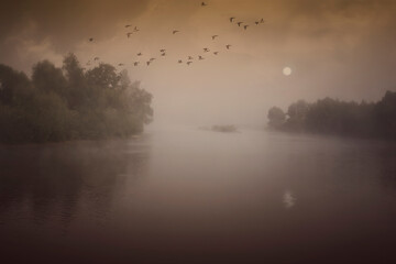 misty morning landscape with flock of birds over river