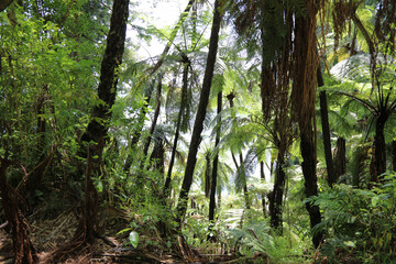 Neuseeland Landschaft / New Zealand Landscape