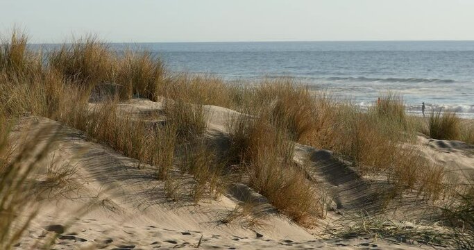 Sunset view of sand dunes along the coast of Oxnard, California, USA.