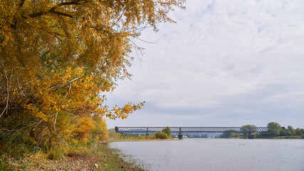 Urmitzer Eisenbahnbrücke über den Rhein im Herbst