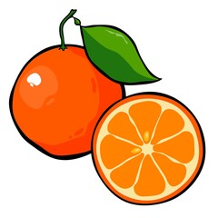 Drawn ripe orange fruit with a leaf on a white background. Whole and cut orange. Vector illustration.