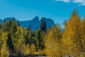 autumn landscape in the mountains