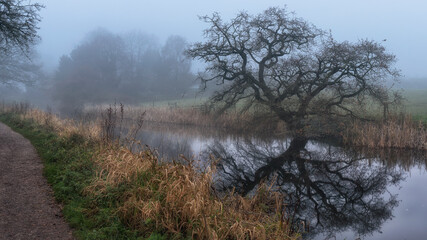 Misty conditions along the Tiverton Canal with trees and reflections