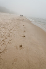 Human footprints in the fog on the beach