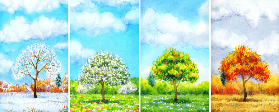 Watercolor landscape of series "Tree in different seasons"