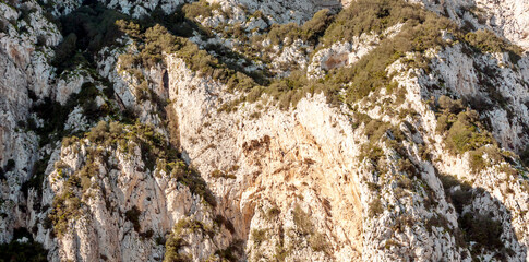 Rocks of Gibraltar