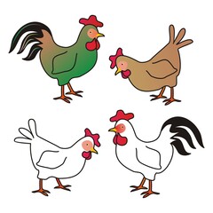 poultry, set of birds, rooster and hen, vector illustration