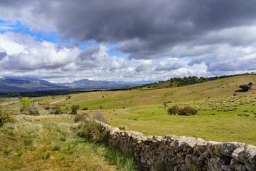 Green landscape with dramatic sky and natural stone fence separating the grass meadows.