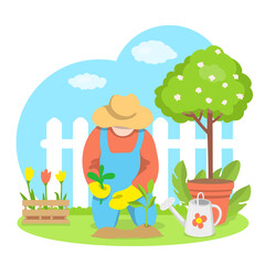 Gardening concept. Spring planting. The gardener plants seedlings in the garden. Vector illustration.