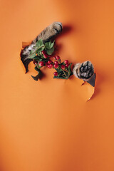 Cat paws stick out in the torn wallpaper. There are flowers in the holes. Naughty cat. The wallpaper is orange. Repairs with pets. Space for the text. Surprise for the owners.