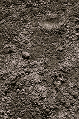 Black Dark Soil Dirt Background Texture, Natural Pattern. Flat Top View.