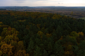 Autumn panorama of yellowed leaves, top view of the colorful forest that stretches across the territory of Ukraine.