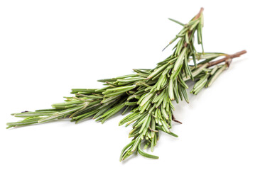 Fototapeta premium Fresh rosemary sprigs on a white background. Isolated