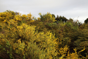 Neuseeland - Landschaft / New Zealand Landscape