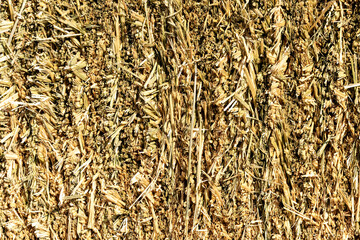 Closeup of a hay bail showing color and textures.