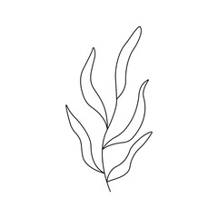 Deciduous plant. Twig with leaves. Black and white vector doodle style illustration