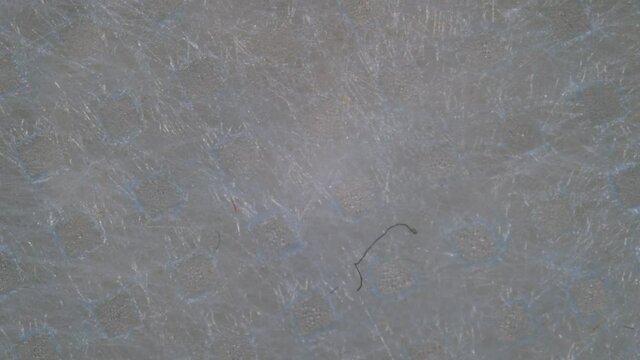 Morgelon. Morgellon fibers in medical masks. Mask worms. GNC