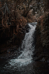waterfall in the mountains