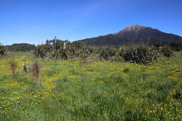 Fototapeta na wymiar Neuseeland - Landschaft bei Mount Somers / New Zealand - Landscape around Mount Somers