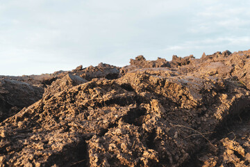 Plowed field at sunset close up