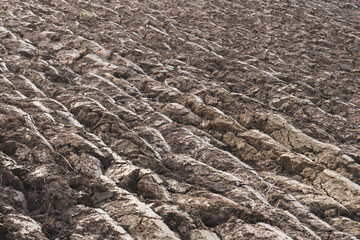 Plowed field