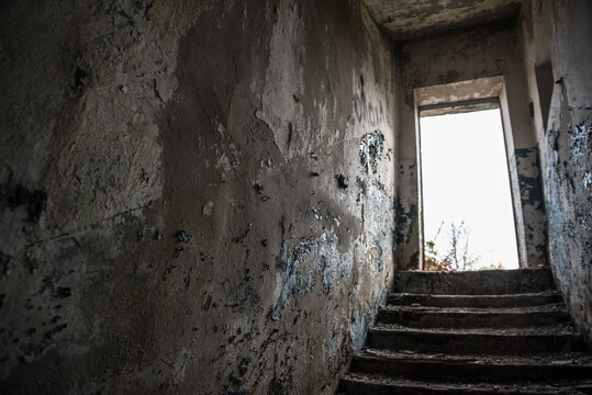 Steps from the basement to the light.