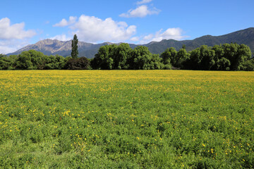 Neuseeland - Landschaft / New Zealand - Landscape