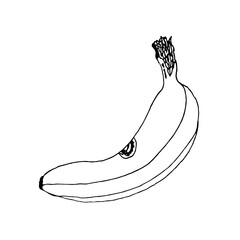 Banana sketch vector illustration. Hand drawn.
