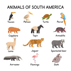 Fototapeta premium South of American animals: toucan, pelican, turtle, parrot, capybara, tapir, llama, jaguar, spectacled bear, flamingo, sloth, armadillo, ant-eater on a white background.Flat cartoon illustration.
