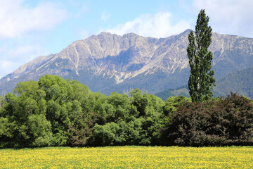 Obraz premium Neuseeland - Landschaft / New Zealand - Landscape