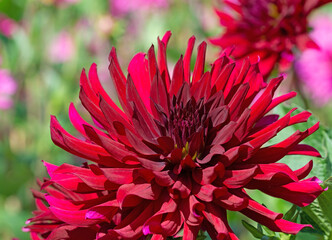 Fototapety na wymiar - Fototapeta24.pl