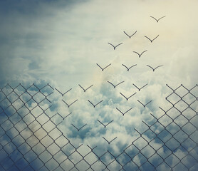 Surreal and magical escape as metallic wire mesh transforming into flying birds above the clouds....