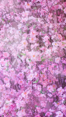 Blurred abstract background of pink cherry blossom or sakura flowers. Soft focus, free copy space for your design.