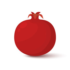 Whole pomegranate fruit on a white background. Vector garnet in cartoon style. Banner on the topic of food and health.