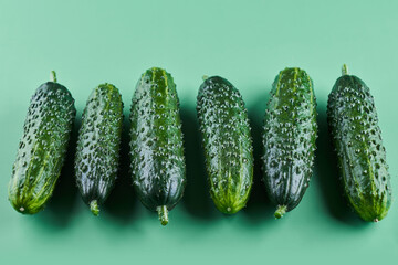 Set of fresh whole cucumbers isolated on a green background, clipping path. Garden cucumber wallpaper backdrop design