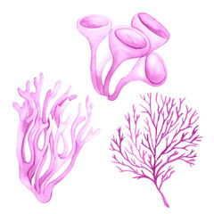 Watercolor set of pink corals. Perfect for printing, web, textile design, various souvenirs and other creative ideas.